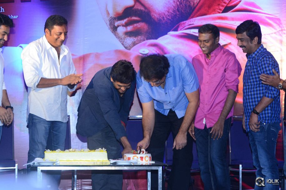 Temper-Movie-Success-Meet